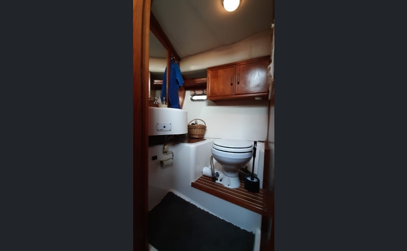 Tristan 345 Fly Harmony-kuva-2